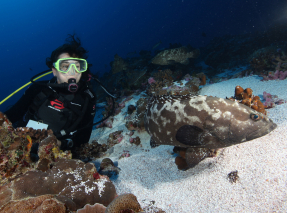 薛綺雯教授在太平洋研究魚類生態，旁為受威脅石斑魚種杉斑